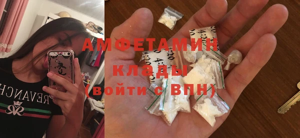 гидра Липки