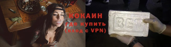 гидра Липки