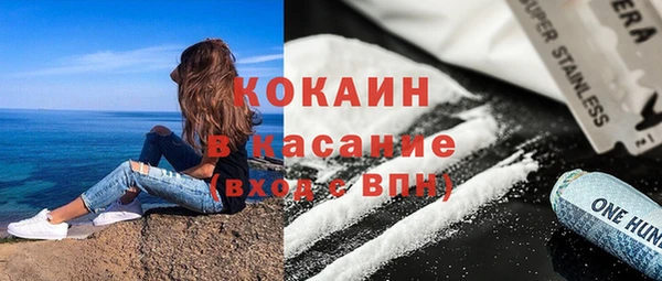 гидра Липки
