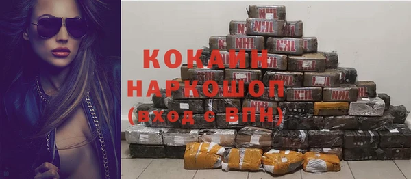 гидра Липки